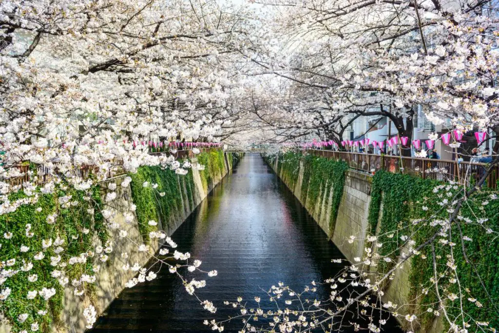 When Is Spring In Japan