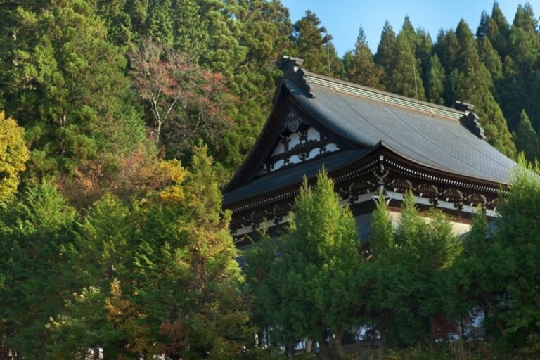 what time does the school year start in japan