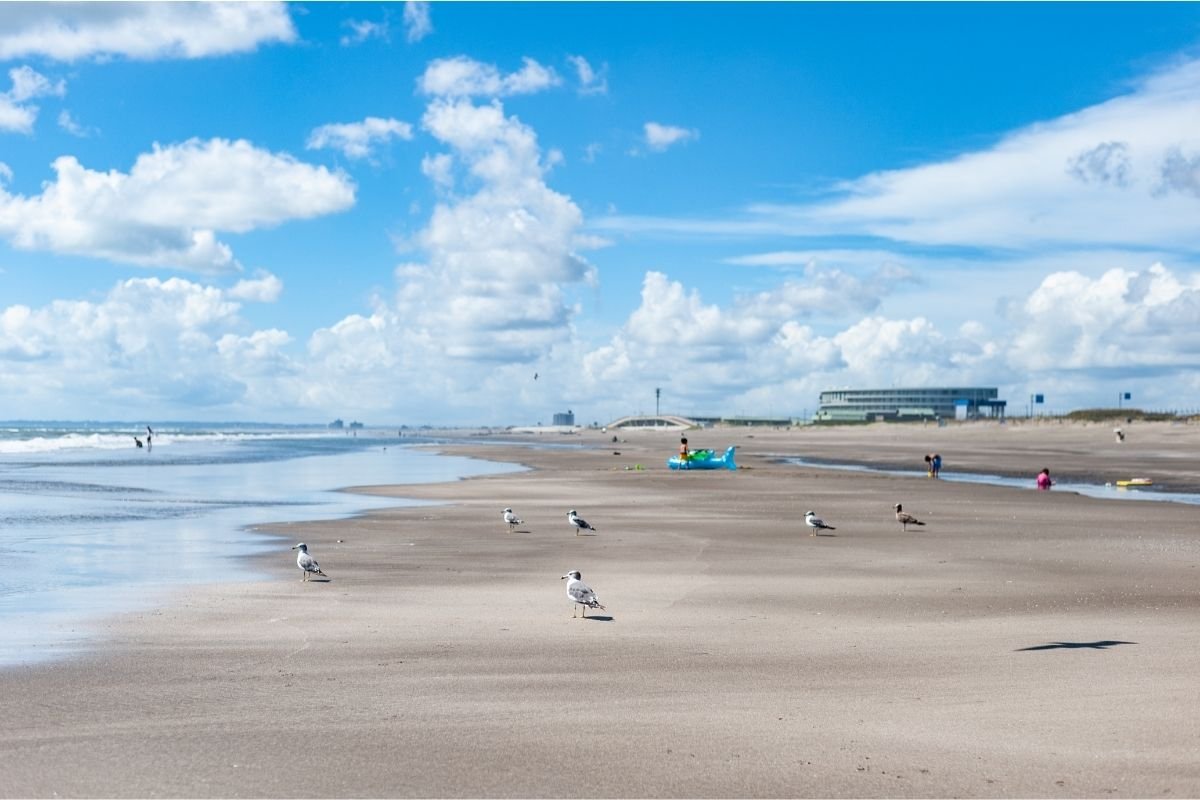 Kujukuri Beach