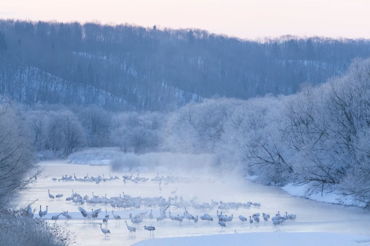 Rusutsu, Hokkaido 