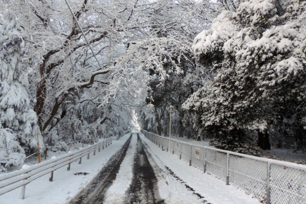 Best Time To Visit Tokyo Why So Japan