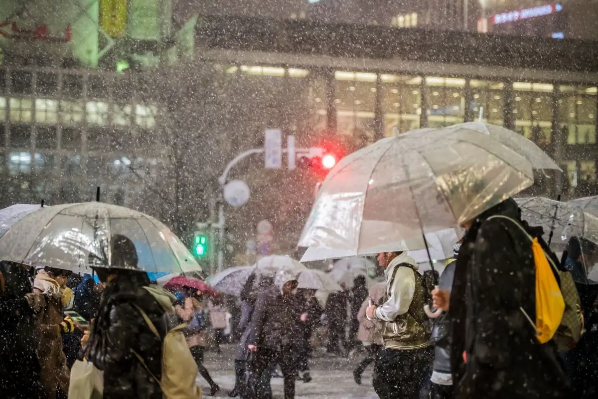 Does-It-Snow-In-Tokyo