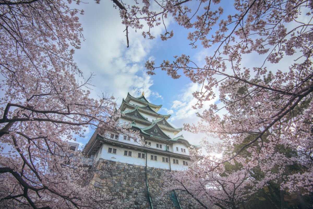 the-cultural-significance-of-japan-s-cherry-blossom-asian-inspirations