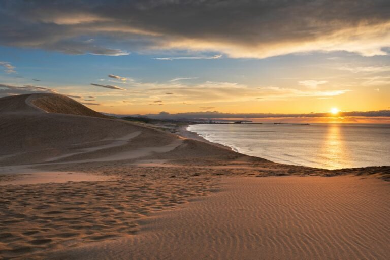 Are There Deserts In Japan? Why So Japan