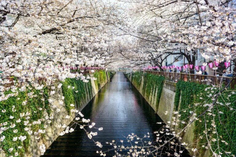 When Is Spring In Japan? - Why So Japan