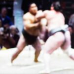 How Strong Are Sumo Wrestlers?