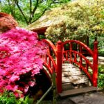 13 Best Kyoto Japanese Gardens To Enjoy