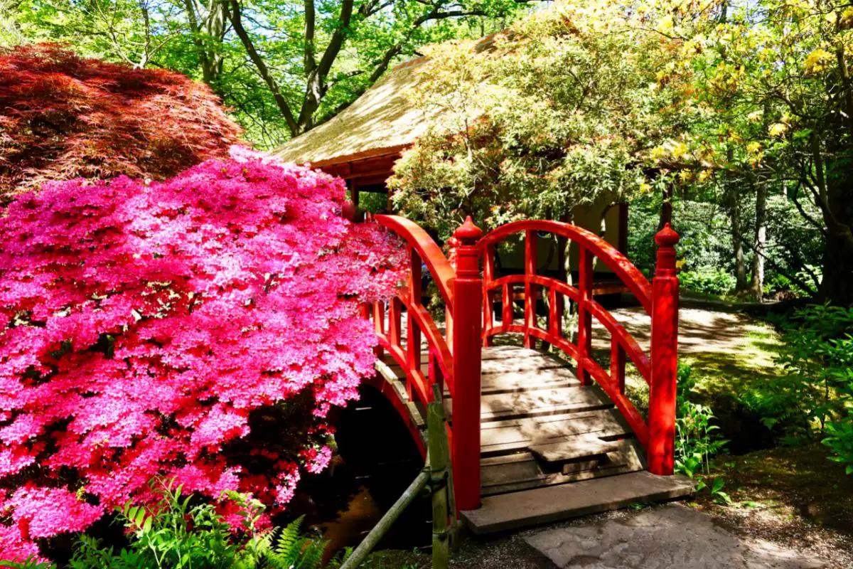 13 Best Kyoto Japanese Gardens To Enjoy