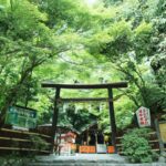 7 Beautiful Japanese Shrines To Visit