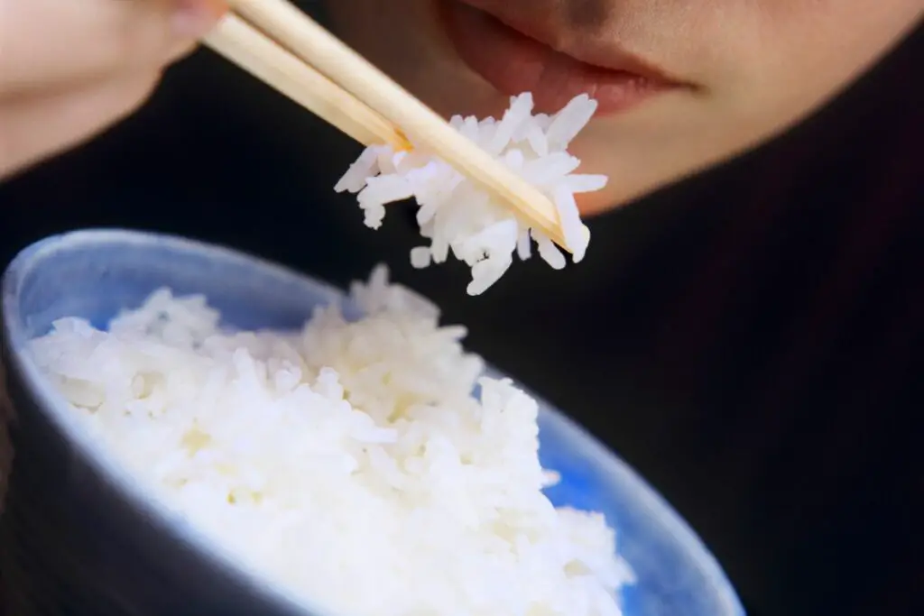 Learning To Eat Rice With Chopsticks