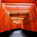Exploring the Magnificent Fushimi Inari Shrine: A Must-Visit Place in Kyoto